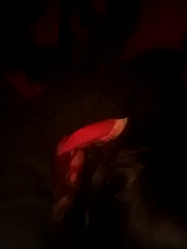 XPriti_x's cam snapshot