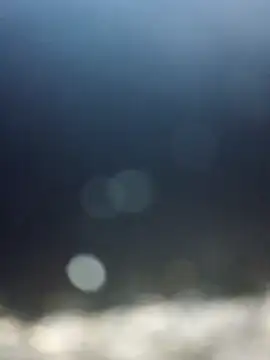 Roddog18 live sex cam