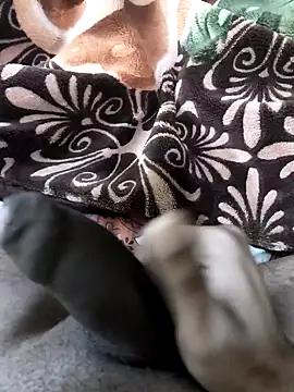 Deb_60's cam snapshot