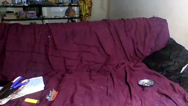 sellvageria's cam snapshot