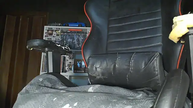 LapijARG7's cam snapshot