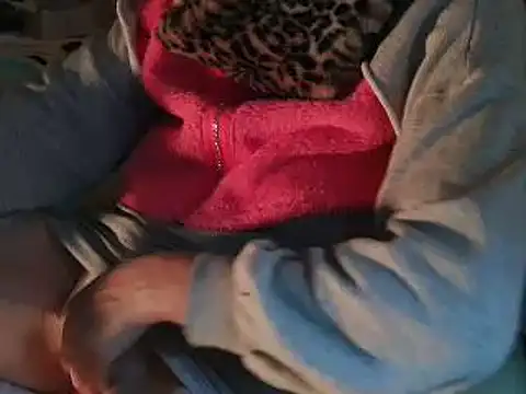 VeneRed live sex cam