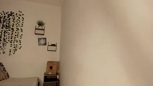 Noellesable's cam snapshot