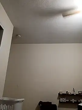 king-Camino's cam snapshot