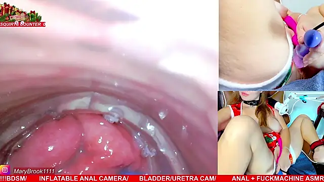 MaryBrook1 live sex cam