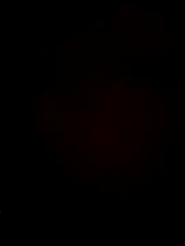 sana14's cam snapshot