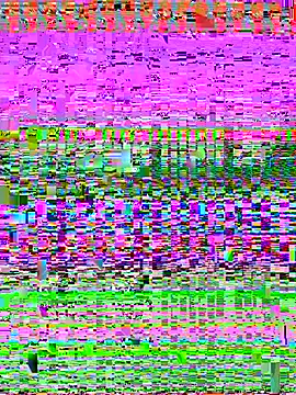 Vanesa_novvoa live sex cam