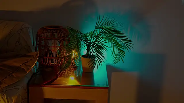 anabelcurvy live sex cam