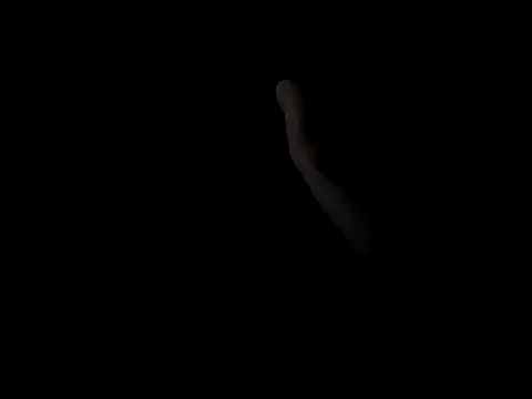 SPQR14's cam snapshot