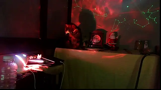 SexWorkerX's cam snapshot