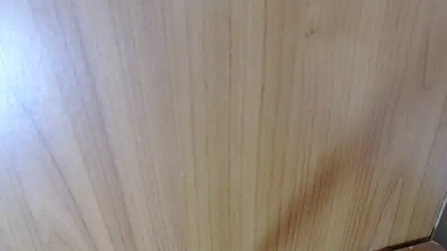 Pamela-StripX's cam snapshot