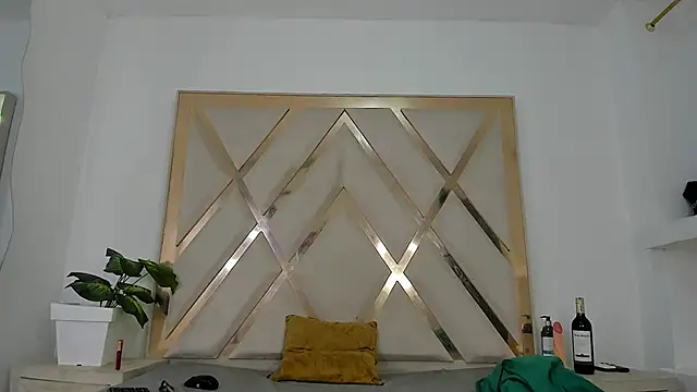 Selenaasm's cam snapshot