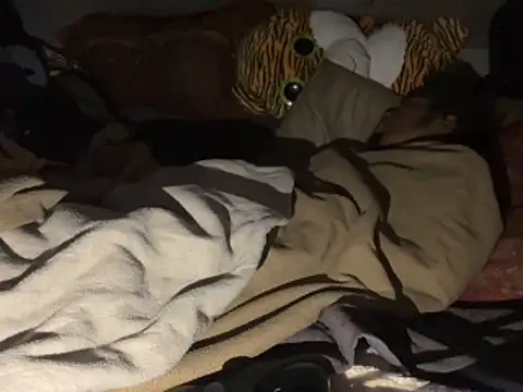 SlimeCrownzOut5's cam snapshot