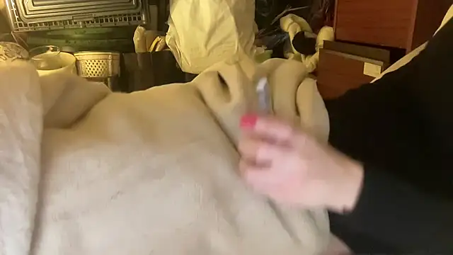 18yoteenvirgin's cam snapshot