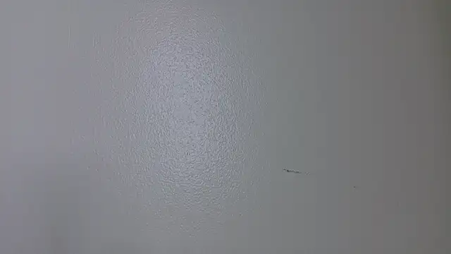 ParisFox_'s cam snapshot