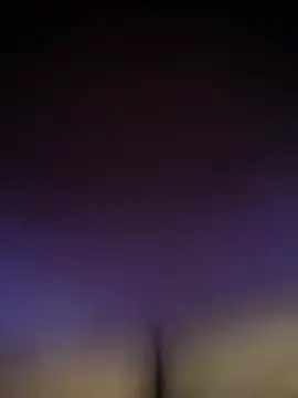 kingster999 live sex cam