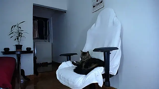 diamond_black00 live sex cam