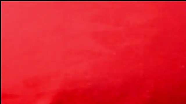 ebonycamelia's cam snapshot