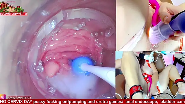 MaryBrook1 live sex cam