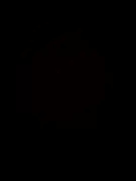 Casizwanzigerlang's cam snapshot