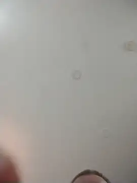 Alleinzuhause's cam snapshot