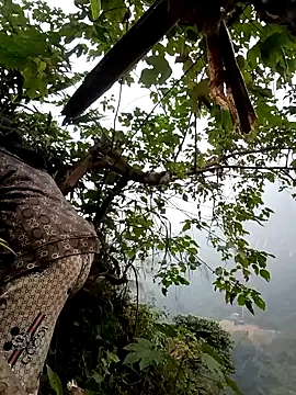 bree-zz's cam snapshot