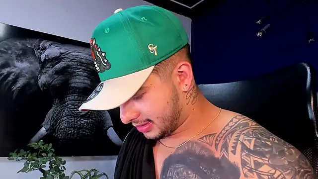 king_falconer's cam snapshot