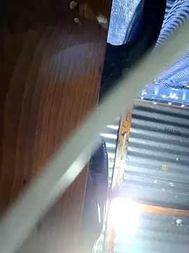 Eumanzor's cam snapshot