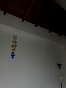 Paulina-Wells's cam snapshot