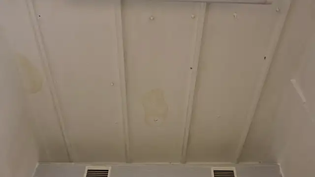 Chel_seth live sex cam