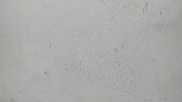 valeriayvioleta69's cam snapshot