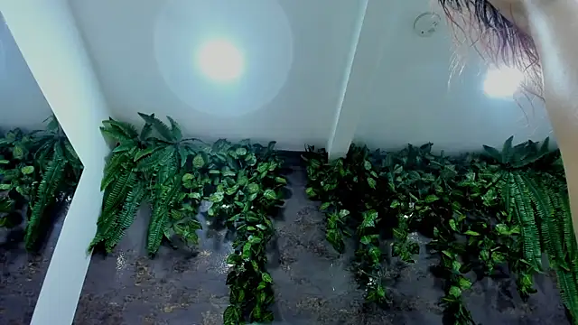 alice_greco live sex cam