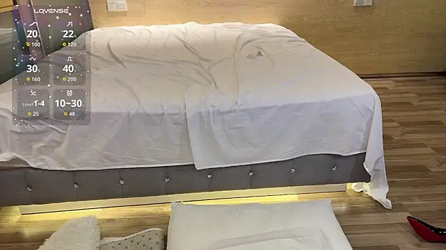 SL-99's cam snapshot