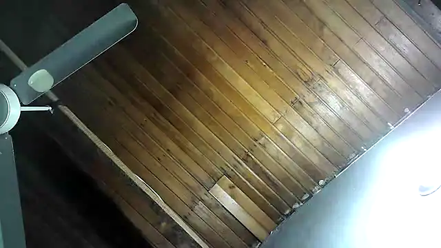 maximo_torreychelli's cam snapshot