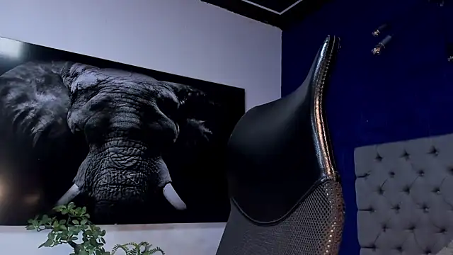 king_falconer's cam snapshot