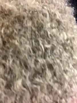 jcaliebte's cam snapshot