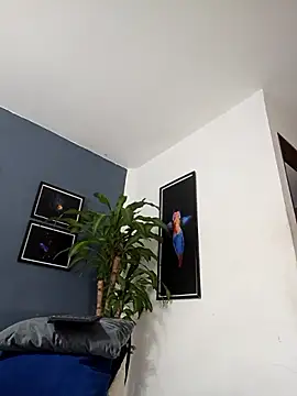 SilvaBranko live sex cam