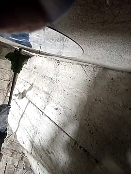 Aleley_2024's cam snapshot