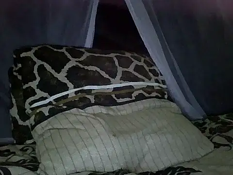 andy_011's cam snapshot