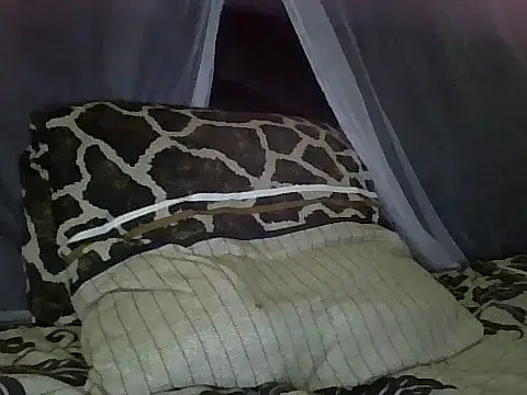 andy_011's cam snapshot