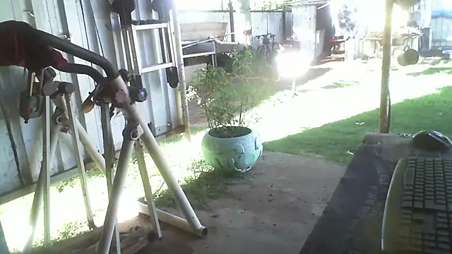 herbie010666 live sex cam