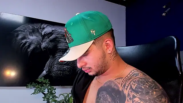 king_falconer's cam snapshot