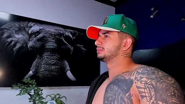 king_falconer's cam snapshot