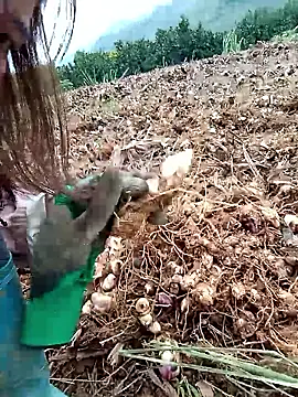 Jelly-Milk123 live sex cam