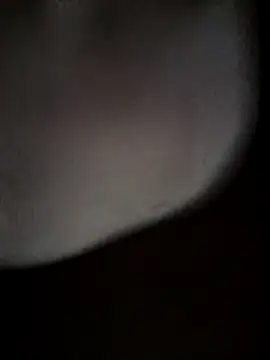 Money_moneylove's cam snapshot