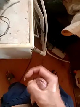 Zlaingo-cat000's cam snapshot