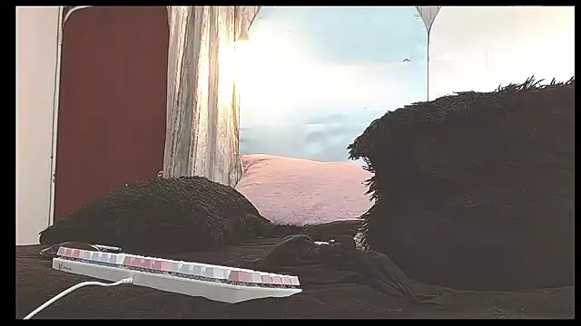 tylor_boy live sex cam