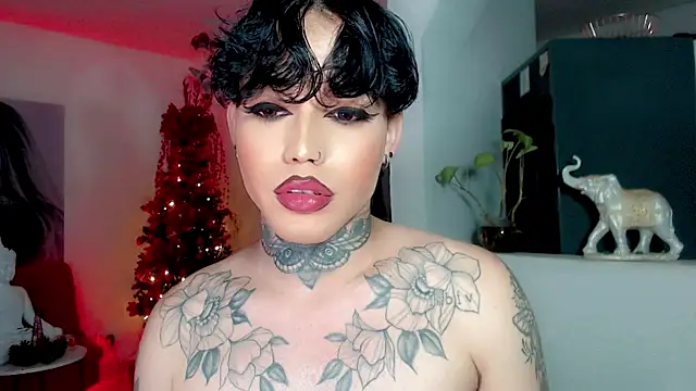 little_star_porn live sex cam