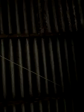 Sisilaydy_01's cam snapshot