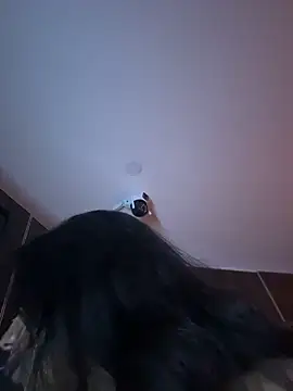 AndyFire69 live sex cam